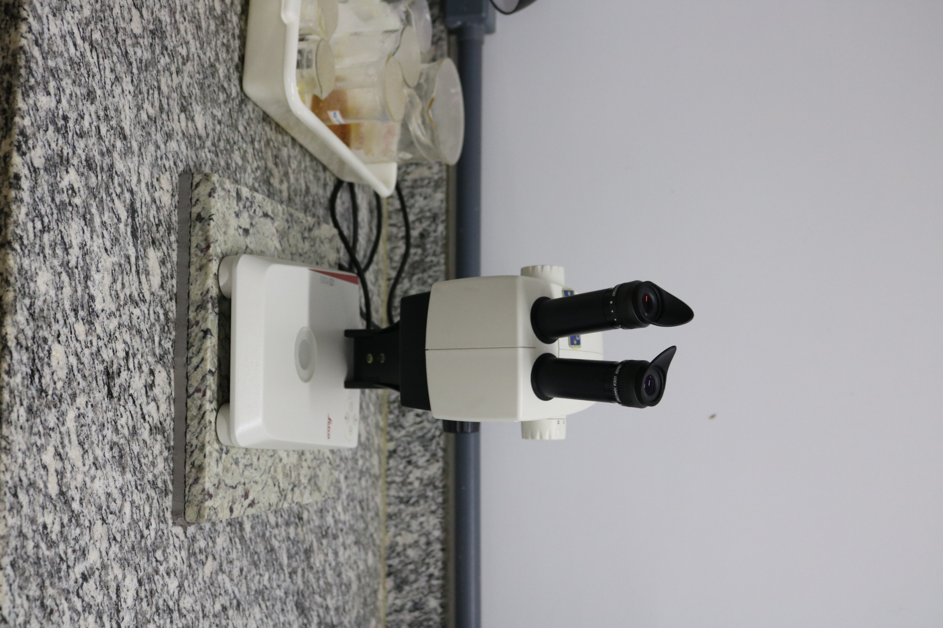 Microsc__pio___ptico_Leica_EZ4.JPG