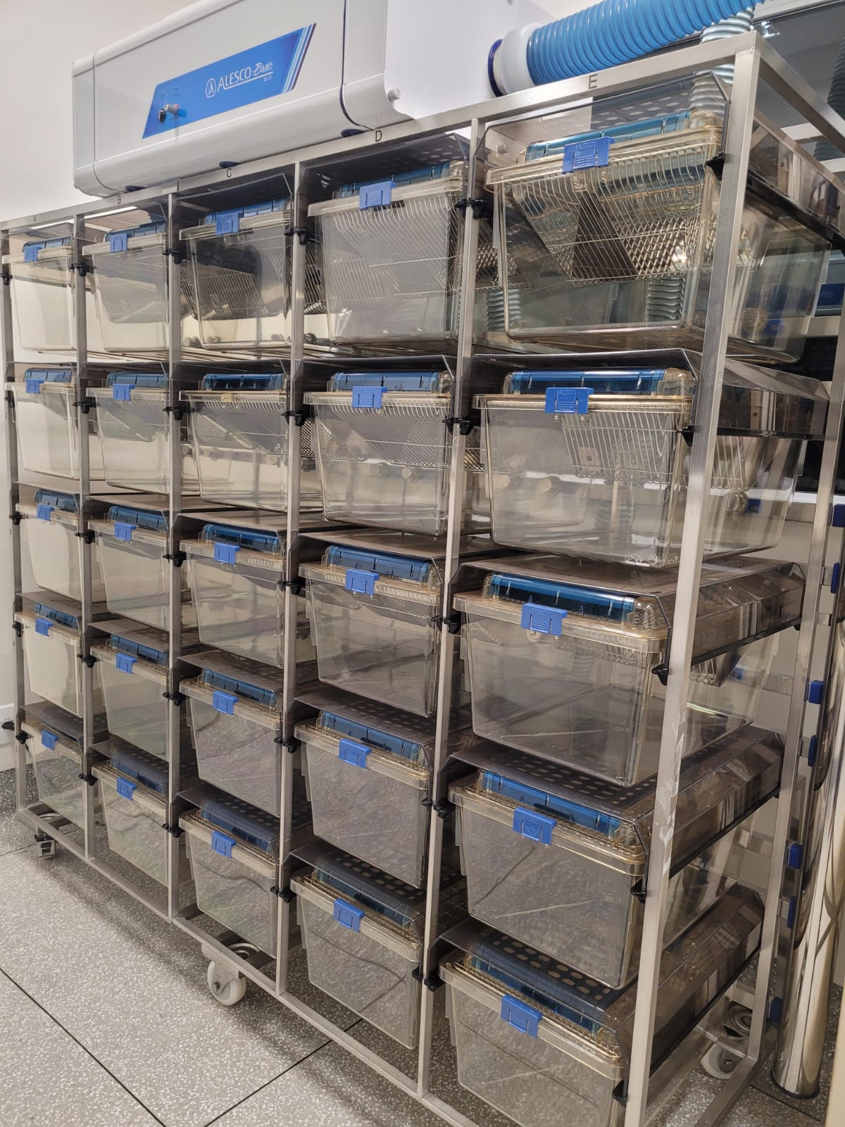 Rack_ventilado.jpeg
