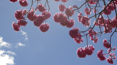 DSC00032.JPG